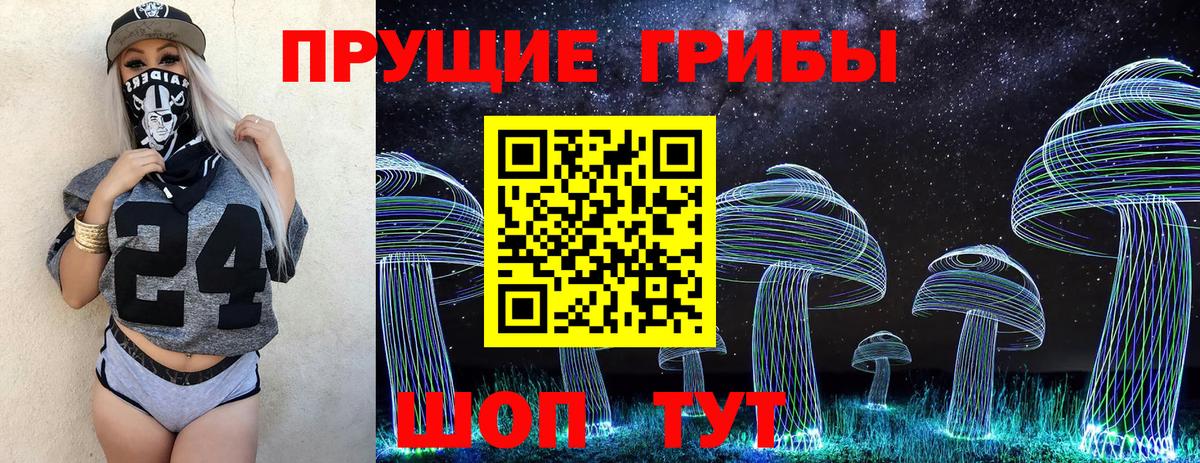 Псилоцибиновые грибы MAGIC MUSHROOMS Мичуринск