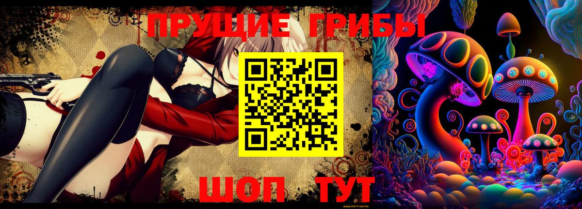 Мичуринск  где купить   Вход с VPN  Псилоцибиновые грибы MAGIC MUSHROOMS 