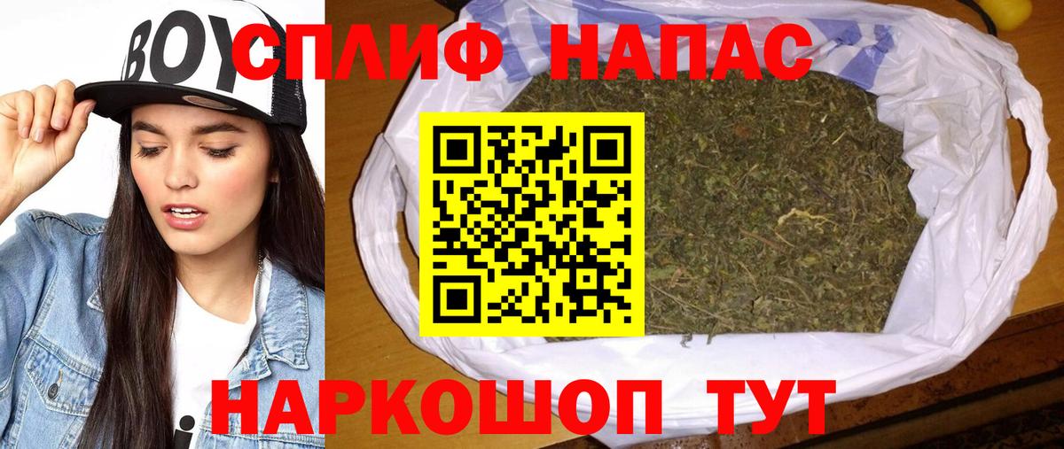 Конопля сатива Мичуринск